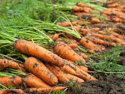 ik2gl1VTP9SrlhRnl6O63bnMkzklAZcW5lFnJBVaTnSPjvY6c7MR5rQyn5Cb_pboKMQ69xBVrj_Wnzrd3B-oJoU73HyuGba-d54bBuO02343HQS9y_qeMgGczJ_F0RPFwyhyTwddp0COxjC3XZ3-4A